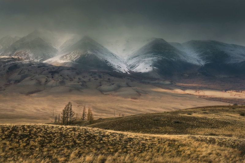 алтай, осень, золотая осень, горный алтай, осень на алтае, северо-чуйский хребет, altay Алтайские хроникиphoto preview