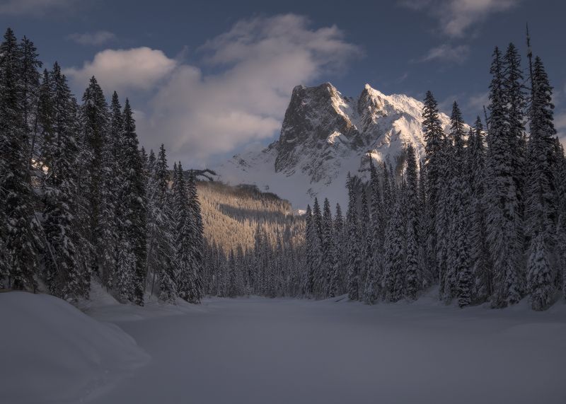 ЗИМАphoto preview