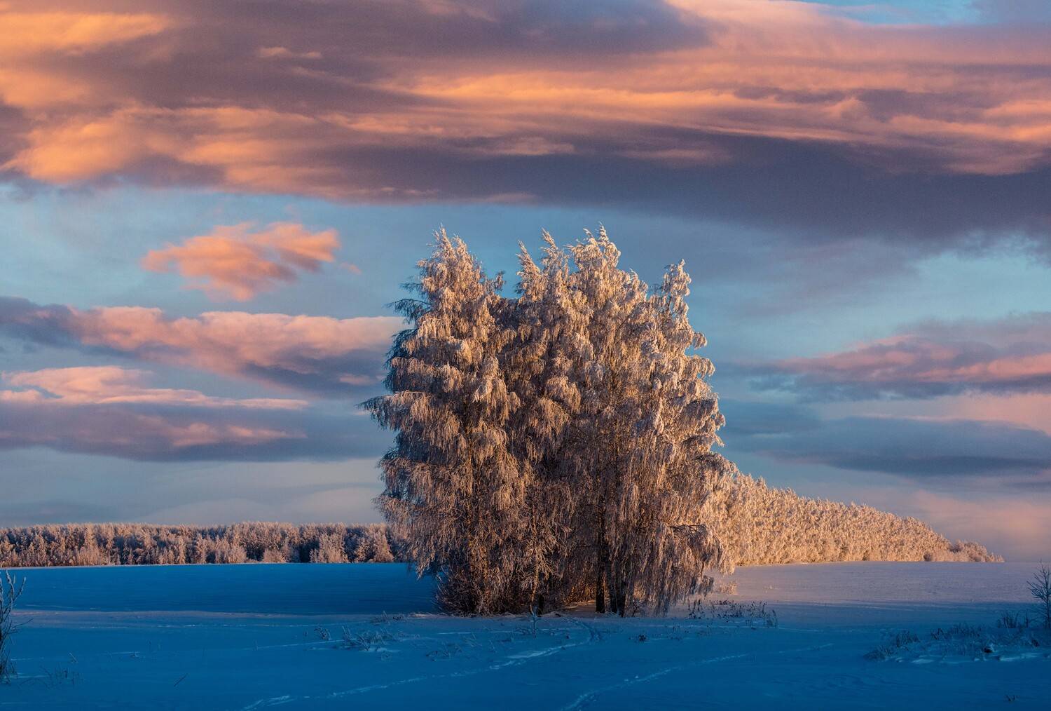 НА ЗАКАТЕ ДНЯ. Автор: Назаров Александр , Назаров Александр