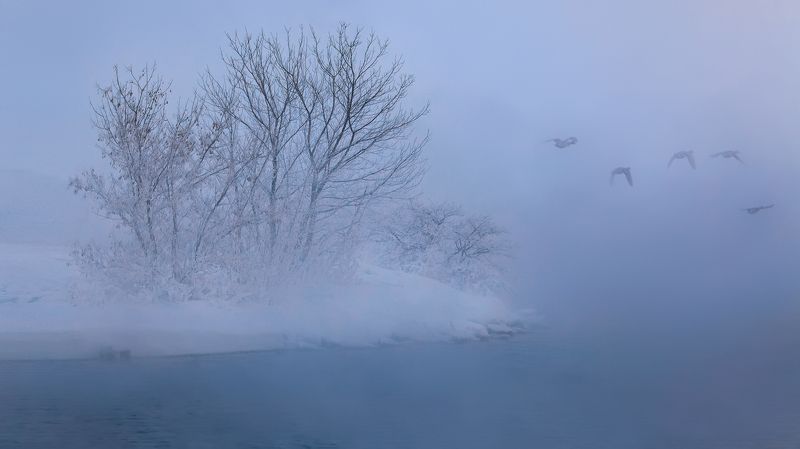 Утиная фотоохота...photo preview