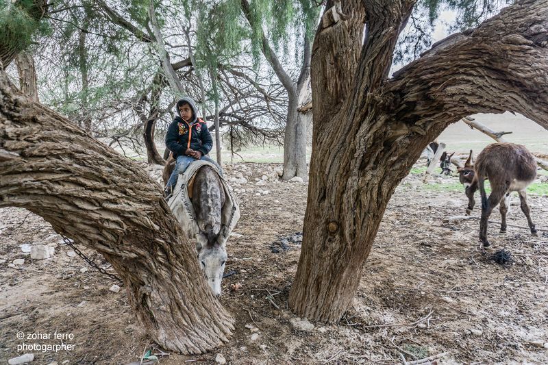 The Bedouin Child Projectphoto preview