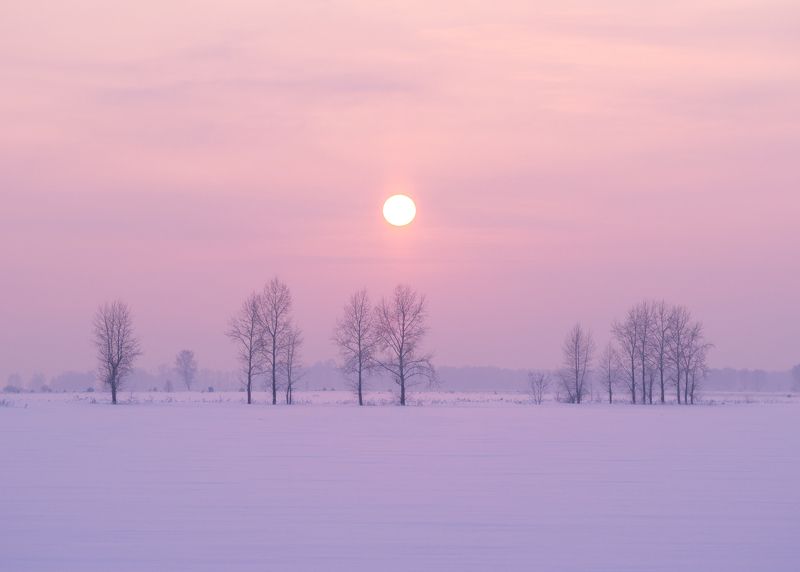 Морозный вечерphoto preview