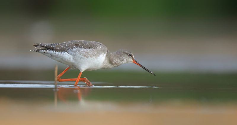 śniadyphoto preview