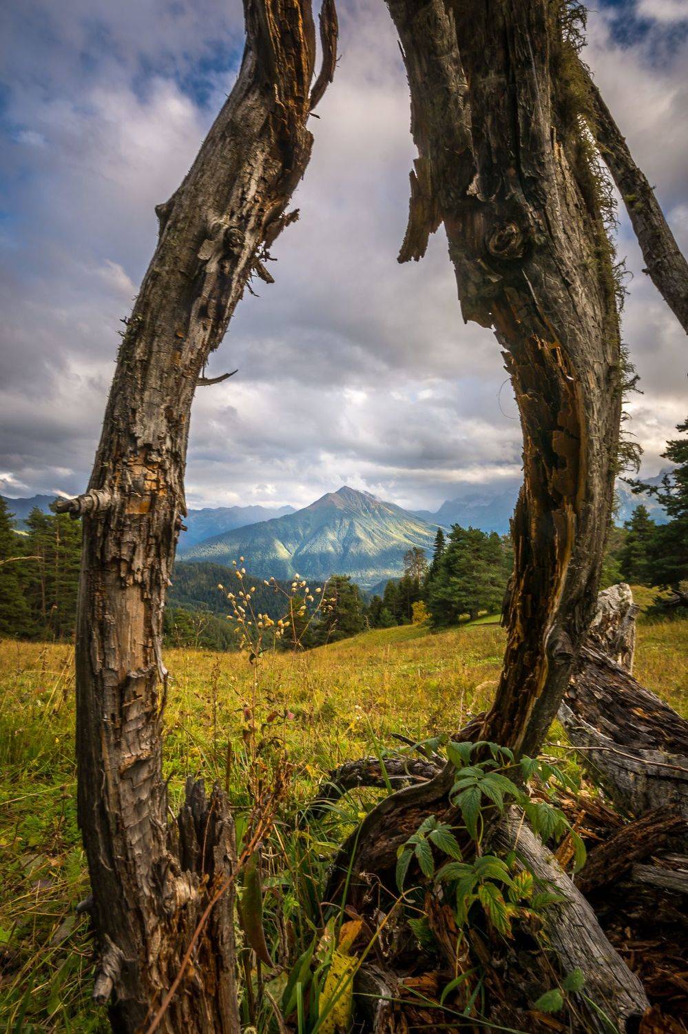 В рамке. Автор: Жданов Дмитрий кавказ горы осень пейзаж, Жданов Дмитрий