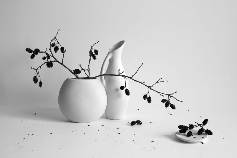 миламиронова, натюрмот, фотонатюрморт, still life, белое, веточка, ольха, кувшин, ваза ***photo preview