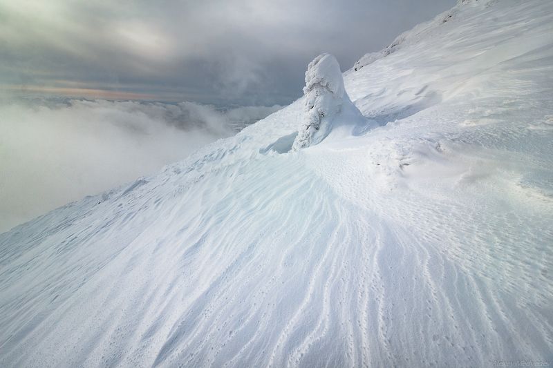 Карпаты. Украина, зима, черногора На студеных склонахphoto preview
