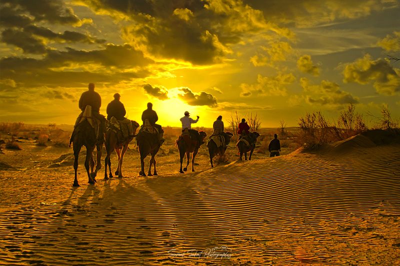 Golden Timephoto preview