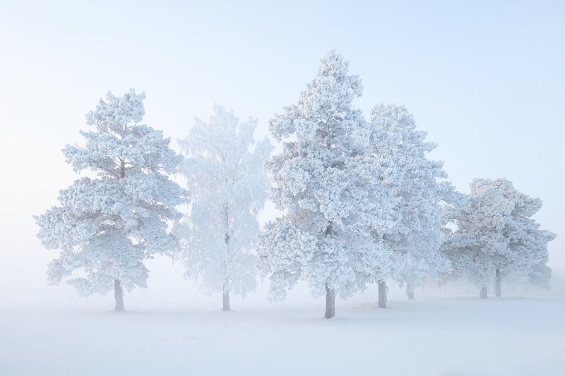 Когда тишину видно...photo preview