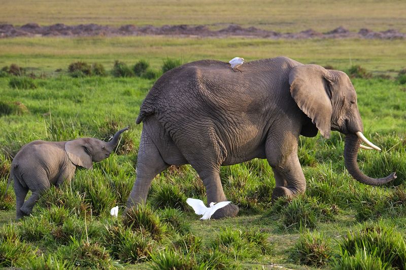 Mommy, wait for me!photo preview