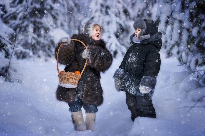 Рождество,Новый Год,праздник,лес,зимний лес, сказка,зима Перед Рождествомphoto preview