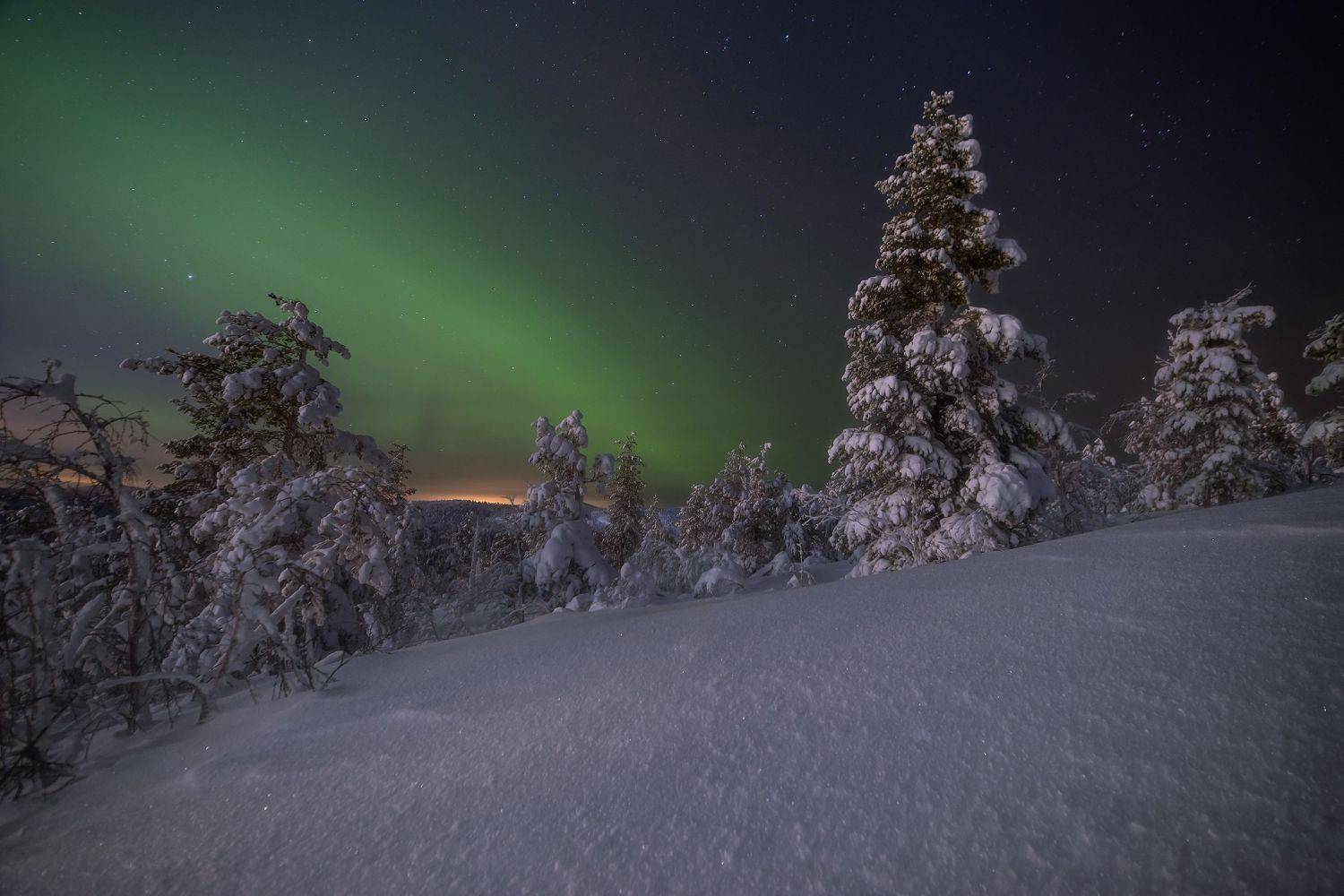 , Романский Владимир (NikonZoom)