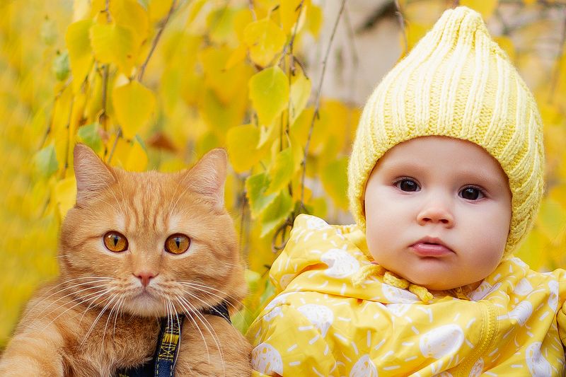 семейный портрет  фото превью