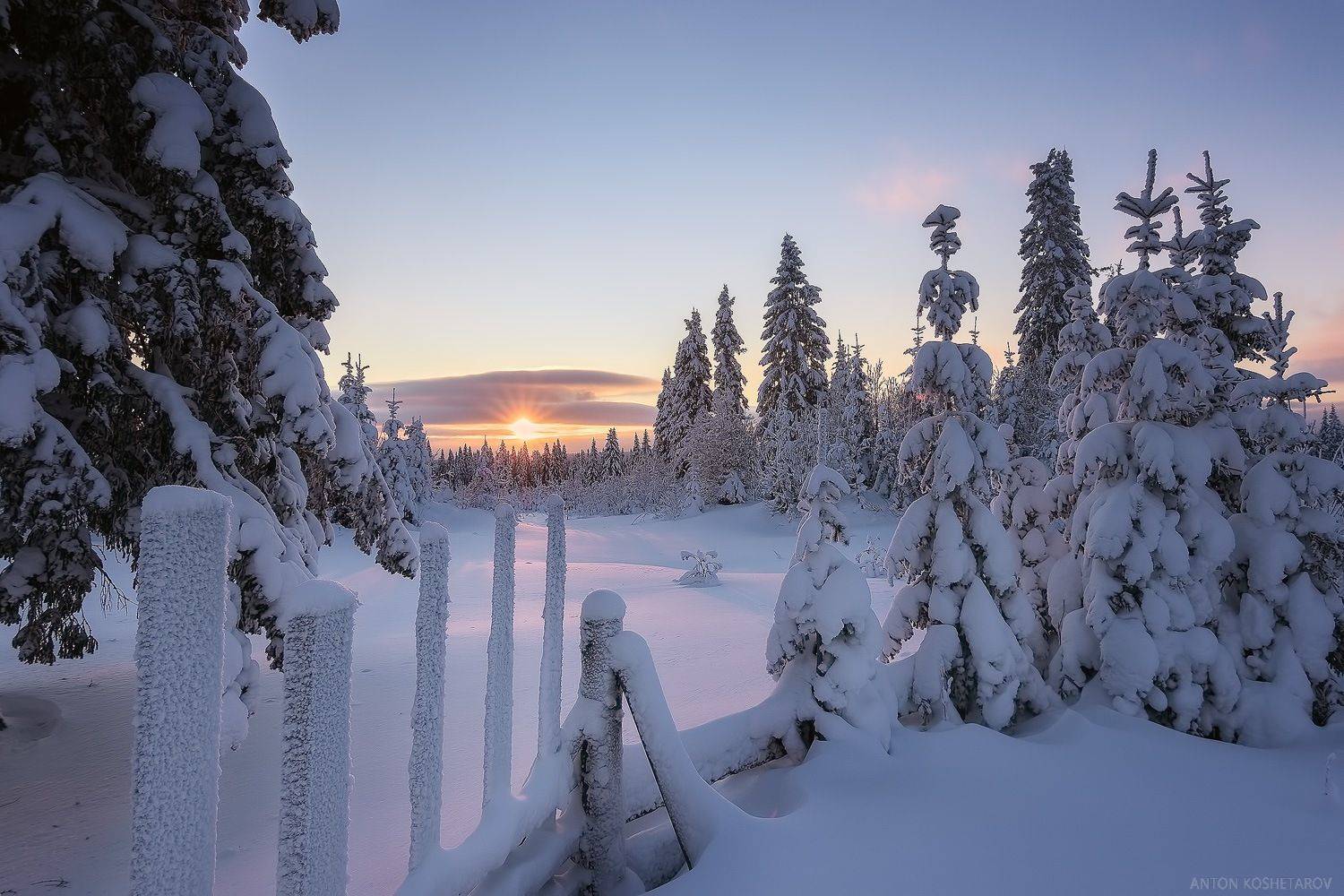 На окраине деревни. Автор: Антон Кошетаров , Антон Кошетаров
