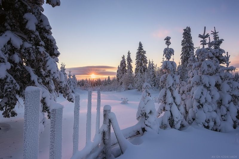 На окраине деревниphoto preview