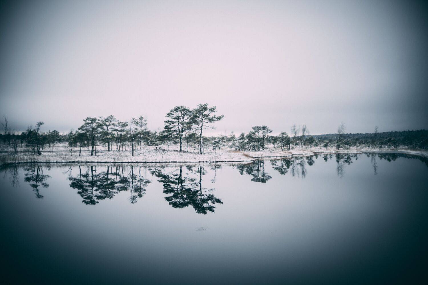 winter, sky, outdoor, new, frost, cover, environment, natural, snowy, beautiful, frozen, ice, forest, season, snow, nature, , Raimond Klavins