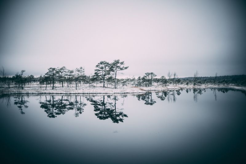 winter, sky, outdoor, new, frost, cover, environment, natural, snowy, beautiful, frozen, ice, forest, season, snow, nature,  Cold winter landscape frozen snow swamp Kemeriphoto preview