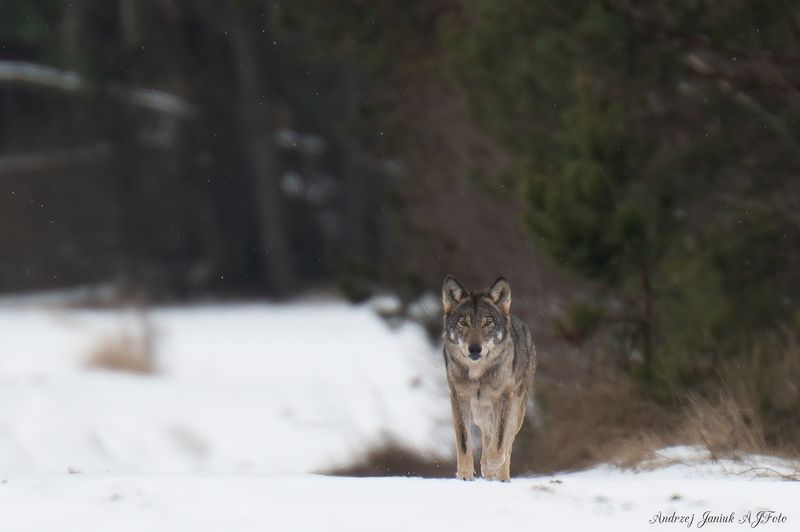 Spotkanie na szczyciephoto preview