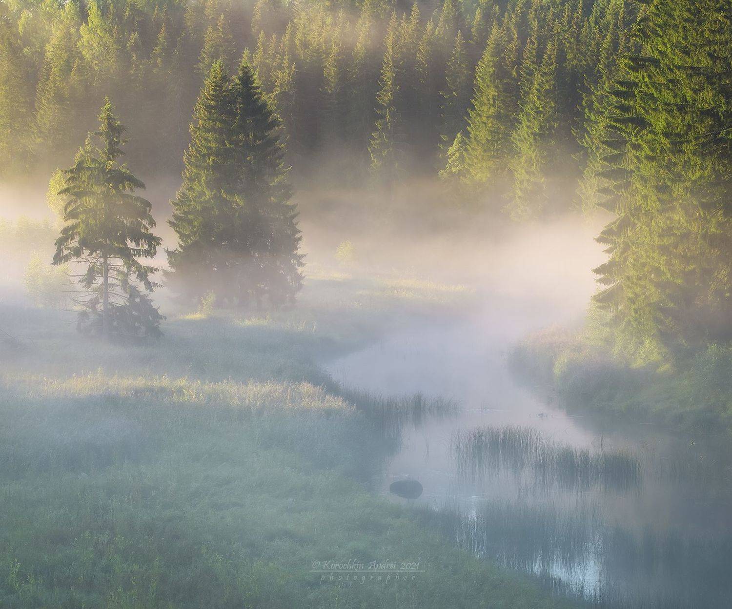 , Андрей Корочкин