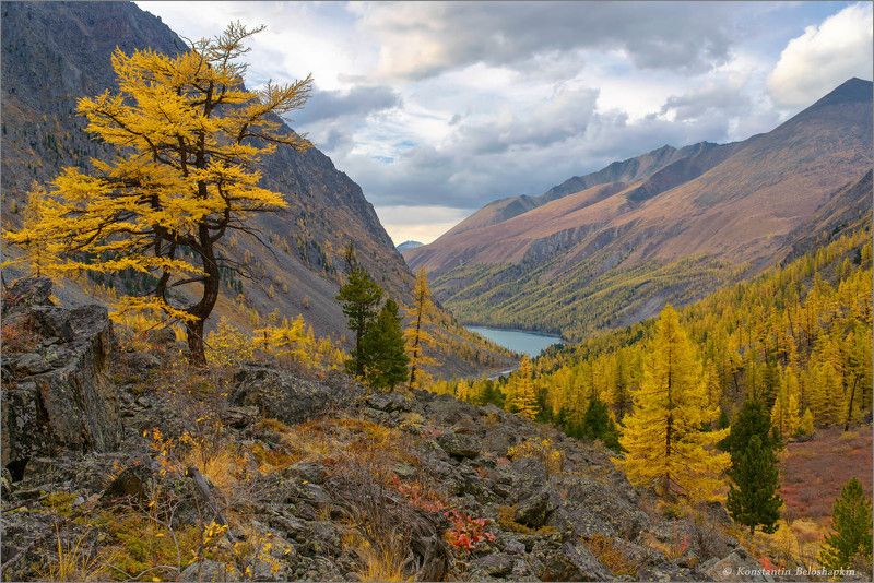 Шавлинская осеньphoto preview