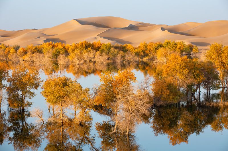 沙漠秋色photo preview