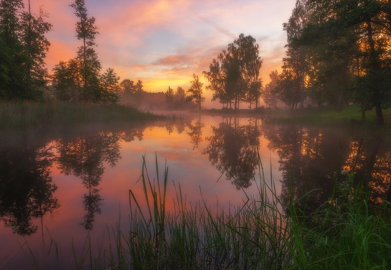 Magical dawnphoto preview