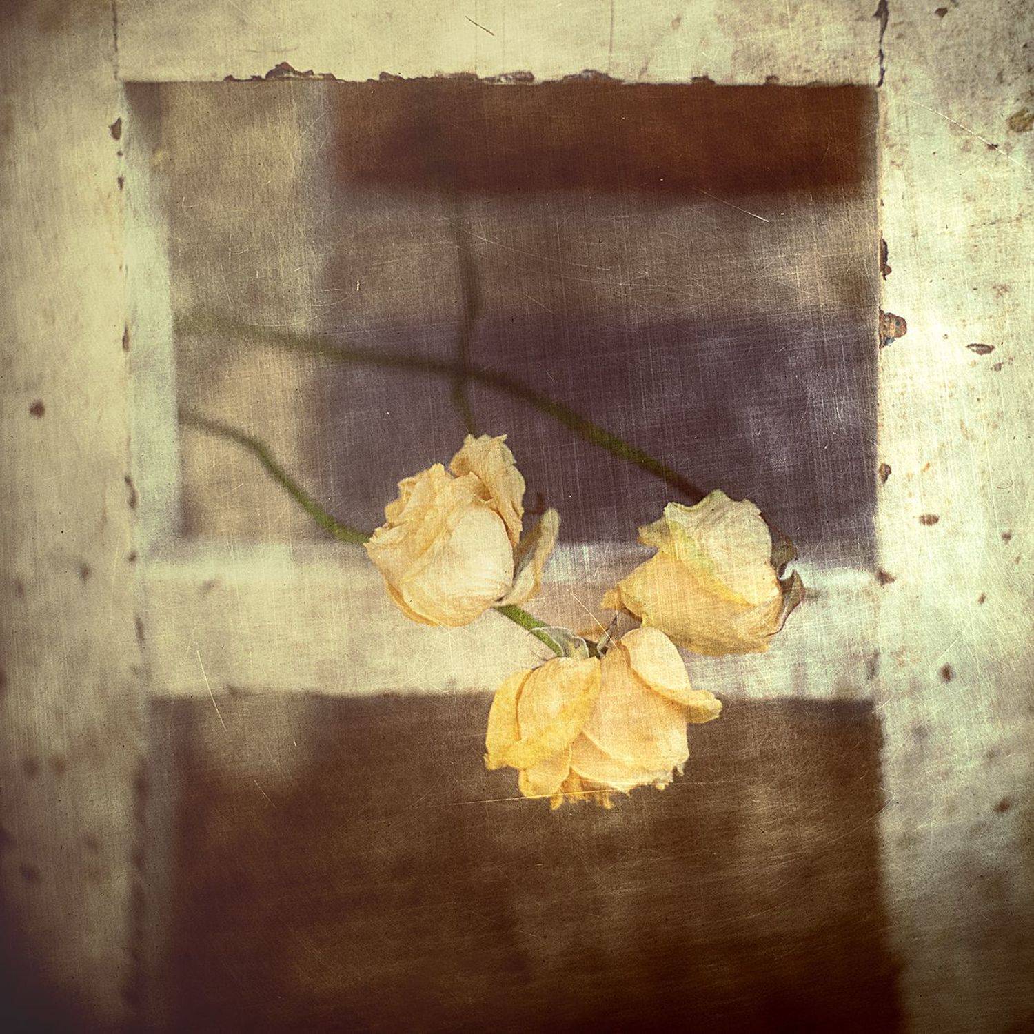 Памяти след.... Автор: Татьяна Аверина , Татьяна Аверина