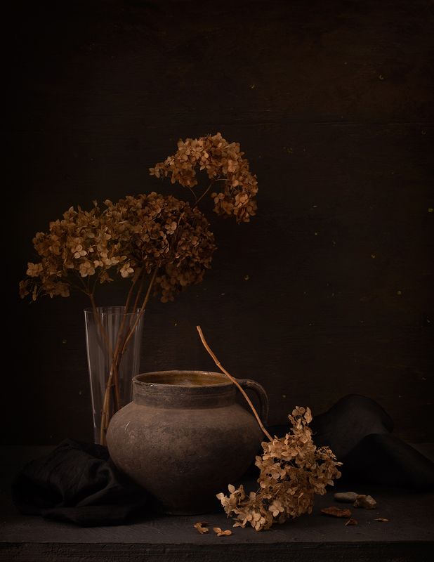 Сухая гортензия и старый кувшинphoto preview