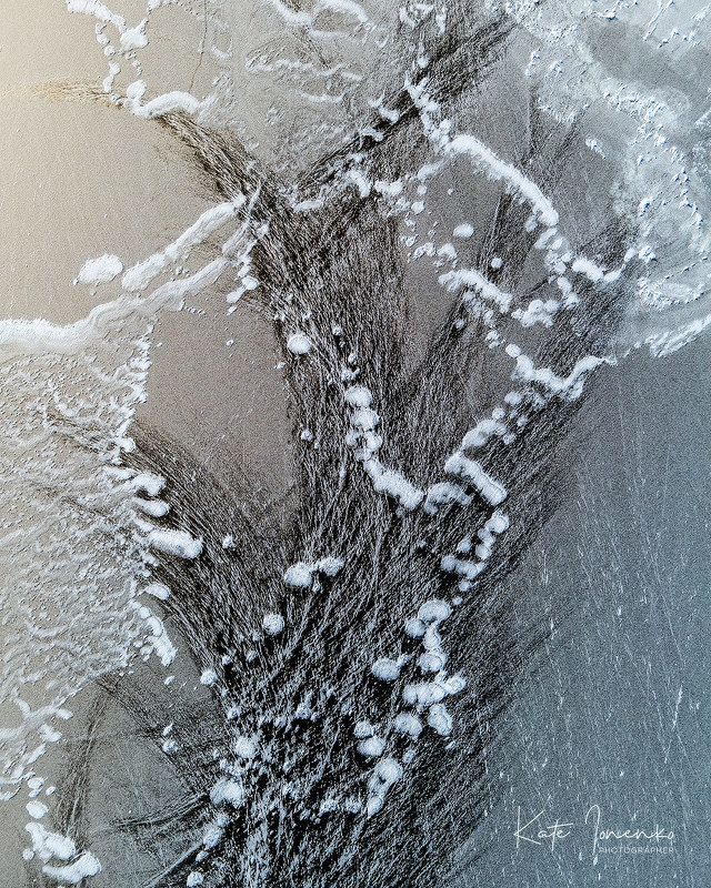 Зимние цветыphoto preview