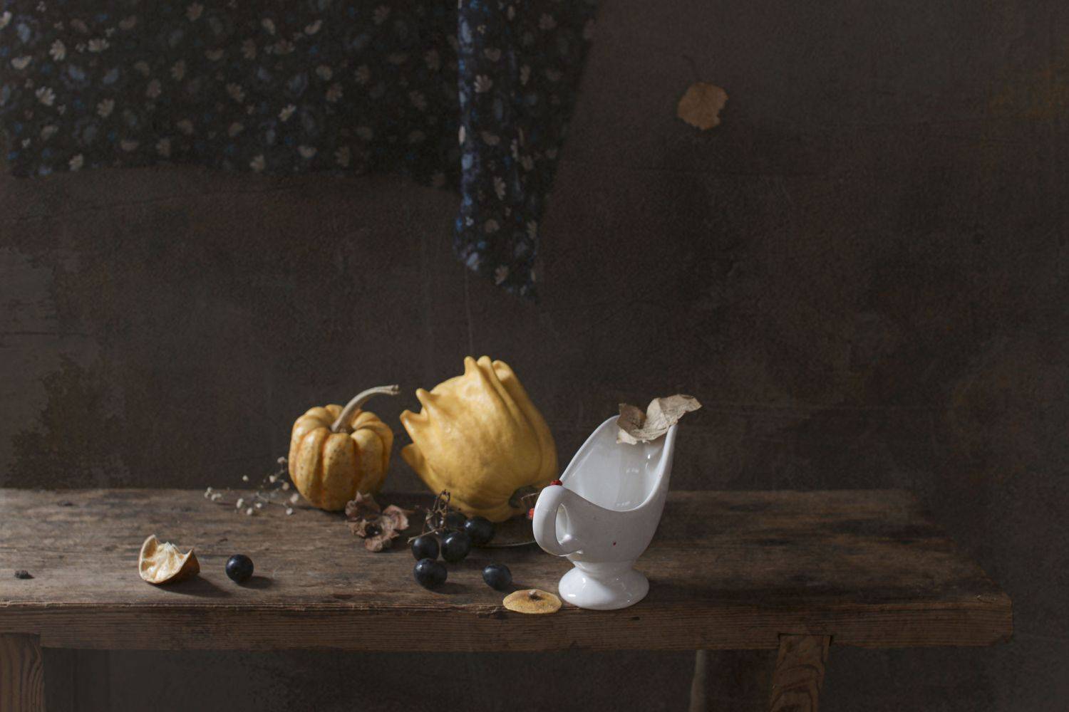 , Коршак Елена