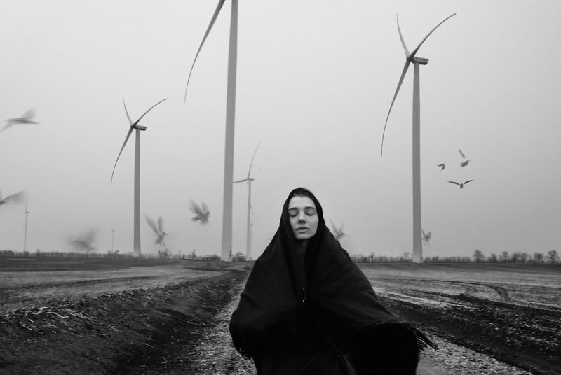 Затихлоphoto preview