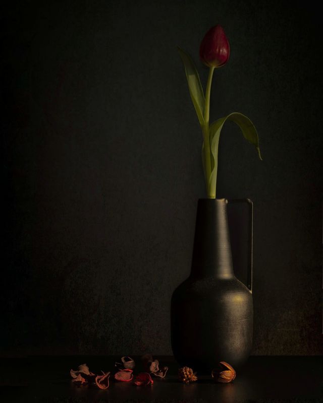 Tulipánphoto preview