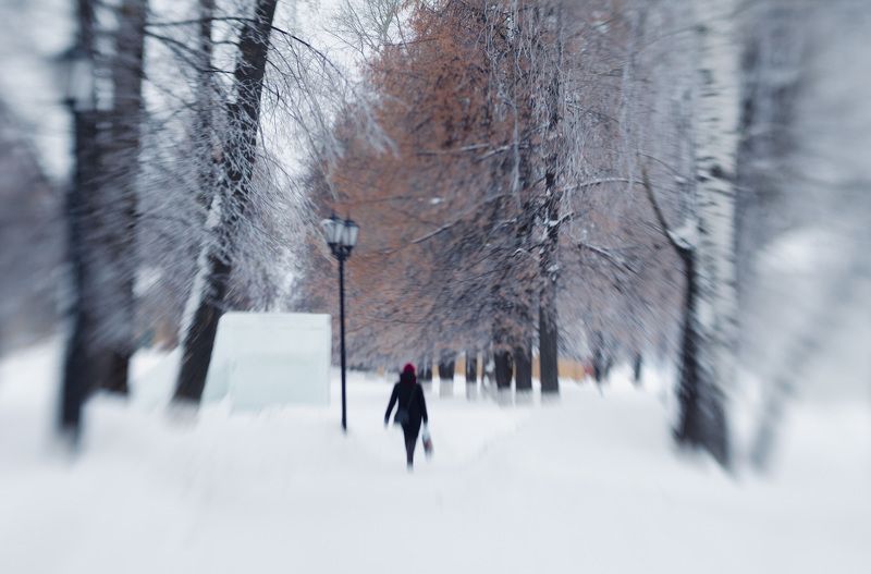 В паркеphoto preview