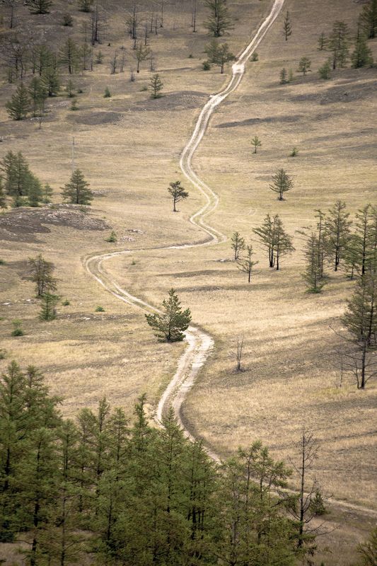 Дорогаphoto preview