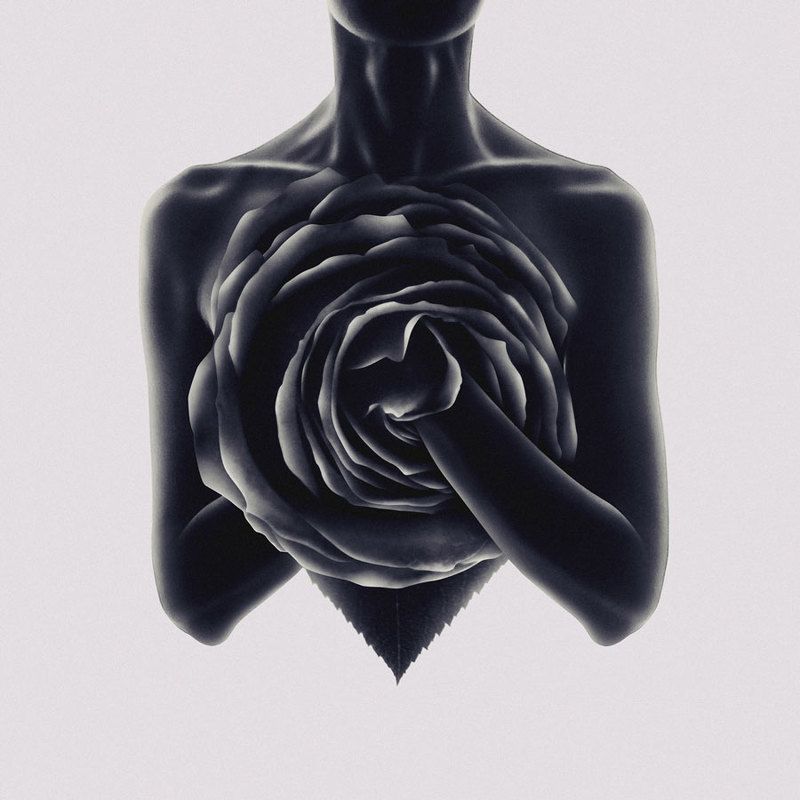 SURREAL,FANTASY,IMAGINATION,DREAM,DREAMING,DREAMY,WOMAN,GIRL,LIGHT,PERSON,EMOTION,FEELING,MODEL,FEMALE,DARK,ROSE,LOVE,SHADOW,MONTAGE,SURREALISM,ART,CONCEPT,FINE,FINE ART,SILHOUETTE,HAND,GRAPHIC,FIGURE,CONTRAST Özphoto preview