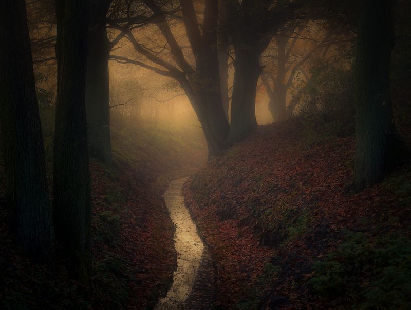 morning...photo preview