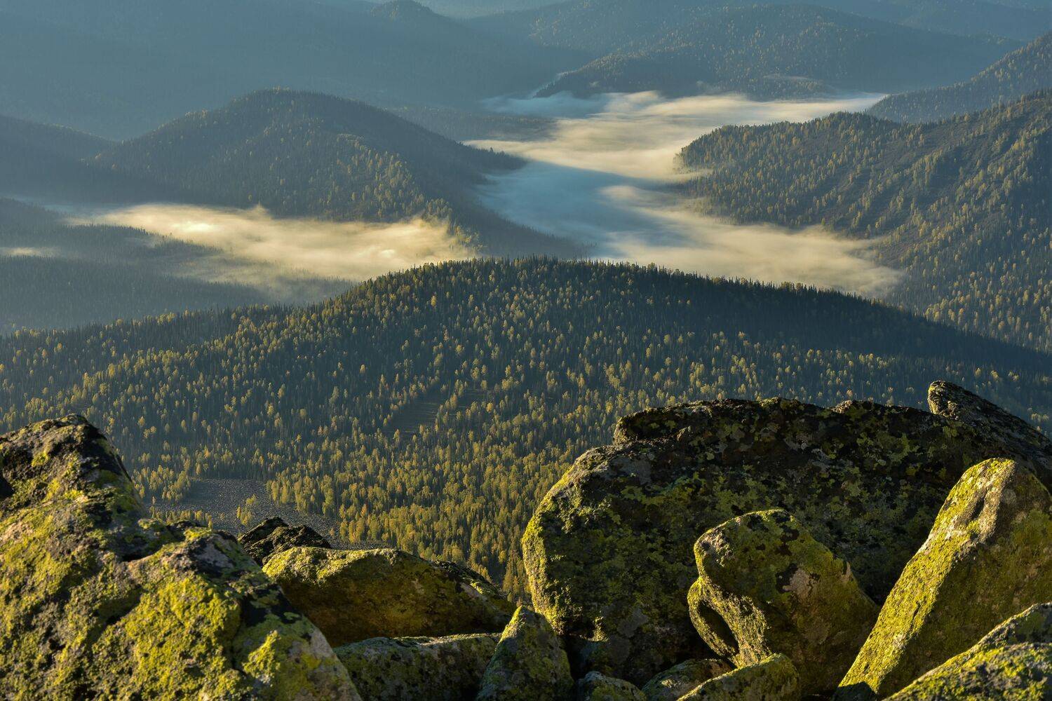 В горах ранним утром Кузнецком Алатау. Автор: Холзаков Вячеслав россия, хакасия, хребет кузнецкий алатау, осень, горы туман утро лес камни, Холзаков Вячеслав