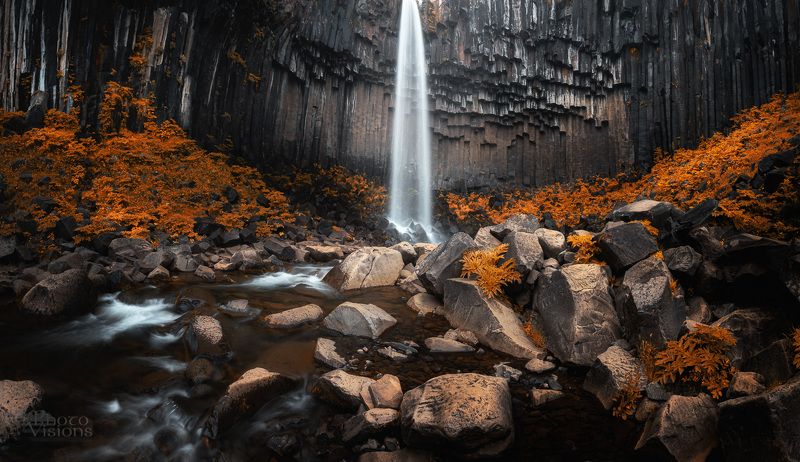 basalt,rock,waterfall,falls,iceland,stream,svartifoss, Volcanic Landscapephoto preview