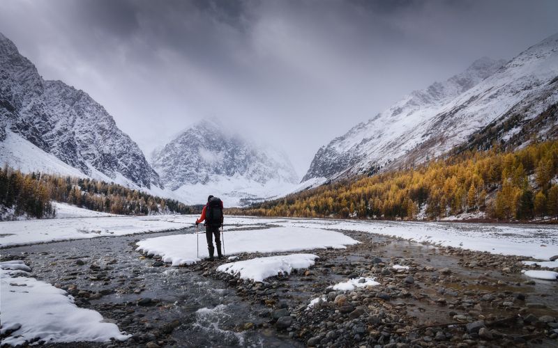 алтай, горный алтай, республика алтай, горы, кош-агачский район, долина актру, актру, лиственницы, золотая осень, октябрь, altai mountains, человек в горах, треккинг, походное фото Вдоль по Актру фото превью
