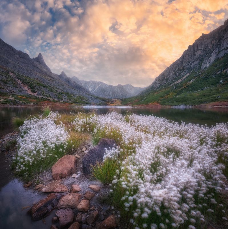 осень, колыма, озеро джека лондона В цветочной клумбеphoto preview