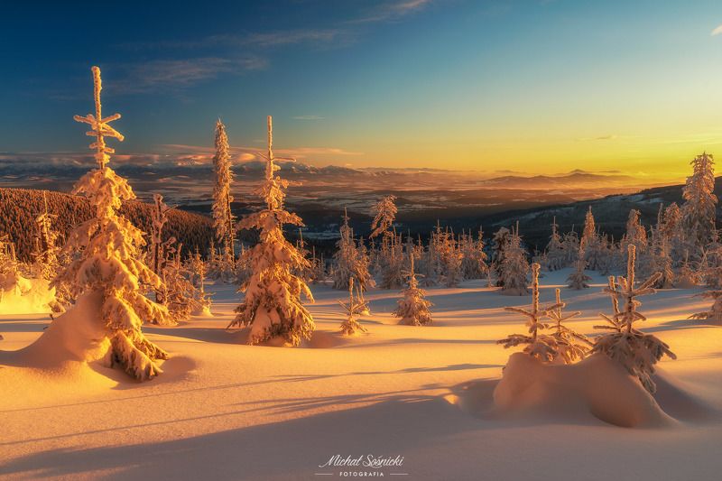 #tree #winter #sunset #sky #wood #nature #amazing #earth #pics #photo #best #poland #pentax #benro #haida Polica 1/3.photo preview