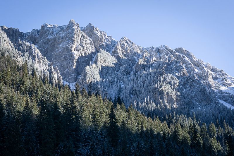 tatry, tatra, tatras, kościeliska, koscieliska, koscielisko, dolina, valley, poland, polska, staw, pond, water, ice, mountain, forest, cold, winter, sun Frosty viewphoto preview