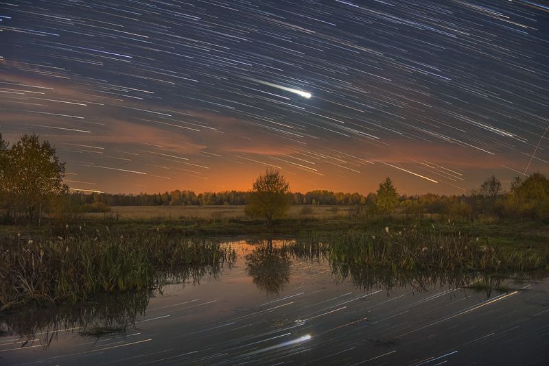 ночь звезды звездные треки ночное небо осень пруд отражения рогоз юпитер Небо и звёзды, отражённые в поверхности прудаphoto preview