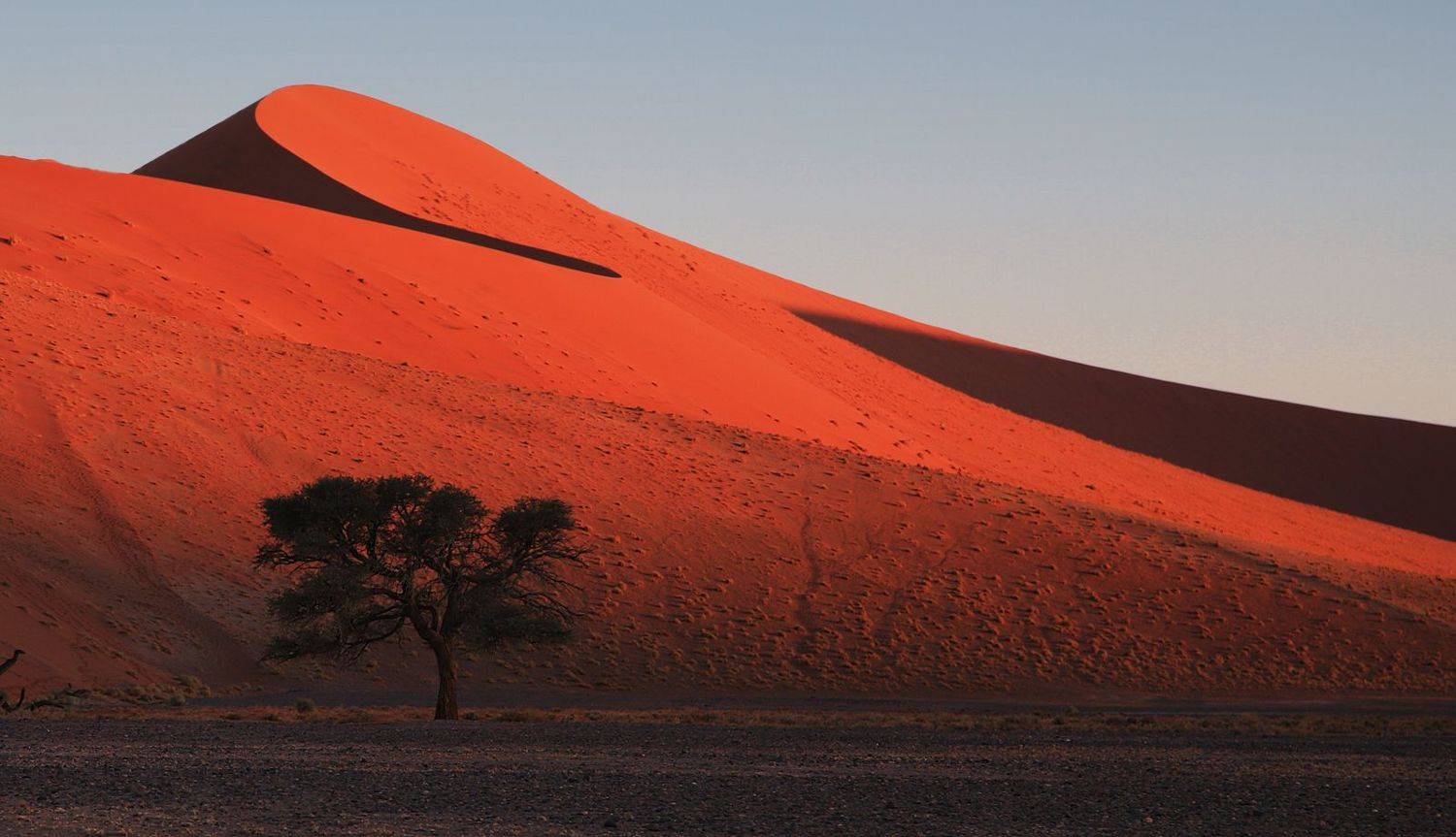 пустыня, дюны, свет, намибия, Вера