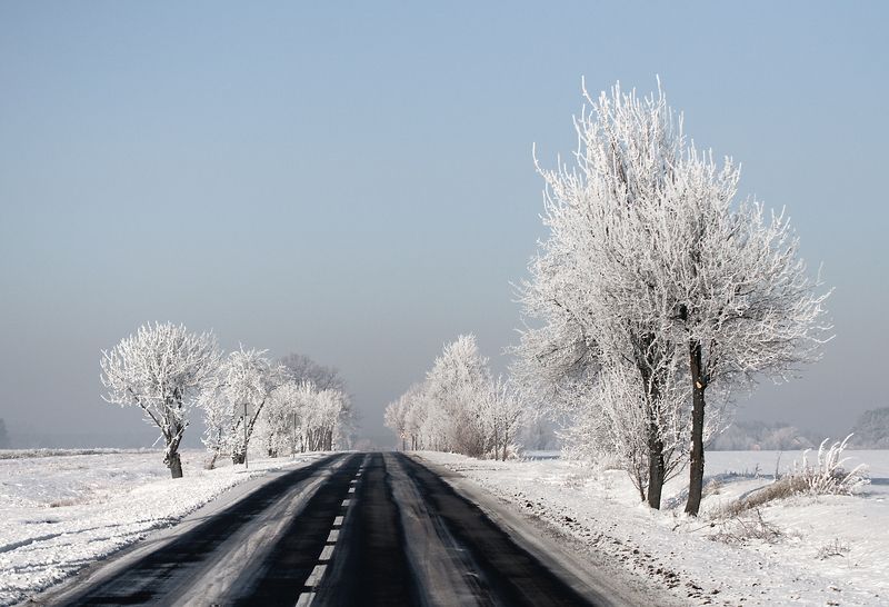 local road...photo preview