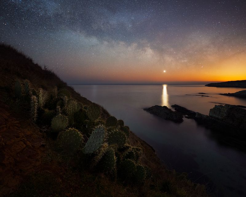 Venus risingphoto preview