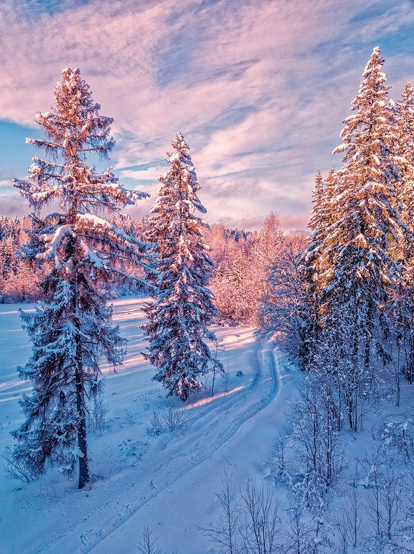 Бесконечная дорога убегает лентой вдаль.photo preview