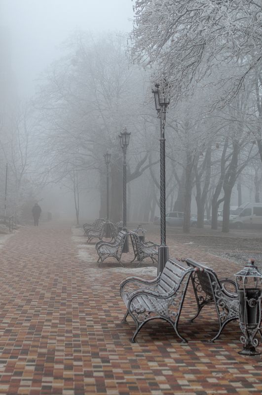 Туман, город, улица. иней Зимний туманphoto preview