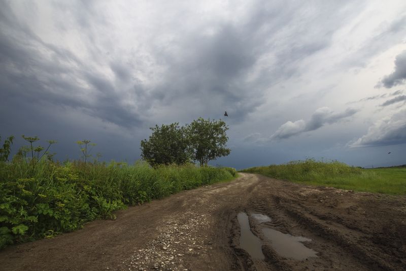 Перед грозойphoto preview