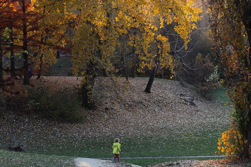 Ноябрьphoto preview