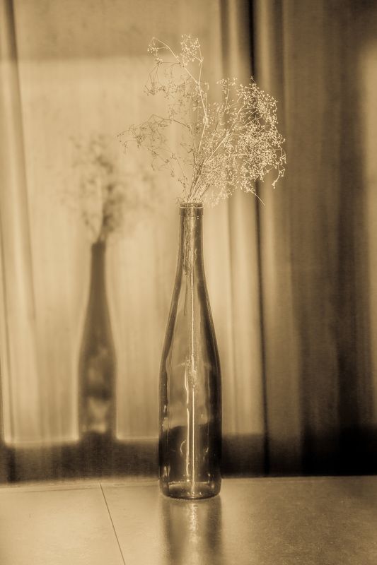 Когда-тоphoto preview